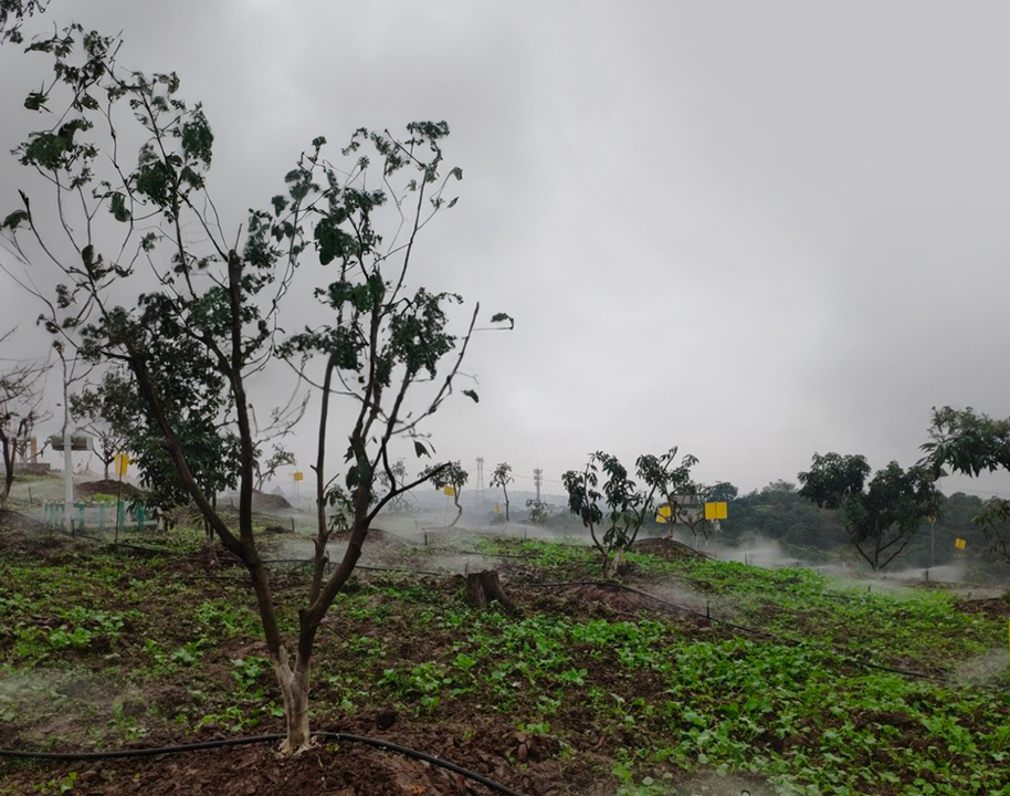 綿陽江油市松嶺智能水肥一體化育苗設施項目