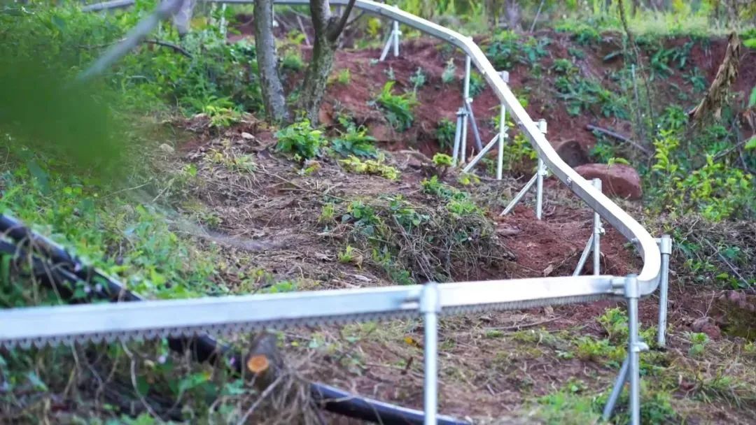 微信圖片_20241119091215 微信圖片_20241119091215